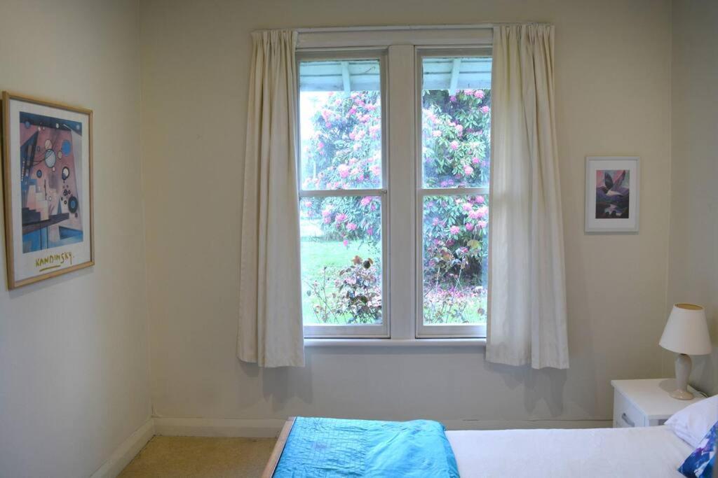 Riverlea Cottage - Cosy, Comfy, Quiet, Central Таумаруни Экстерьер фото